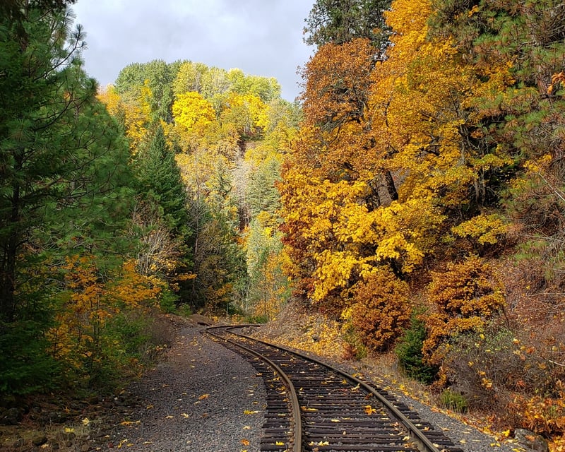 Fall Foliage Train Ride in Hood River