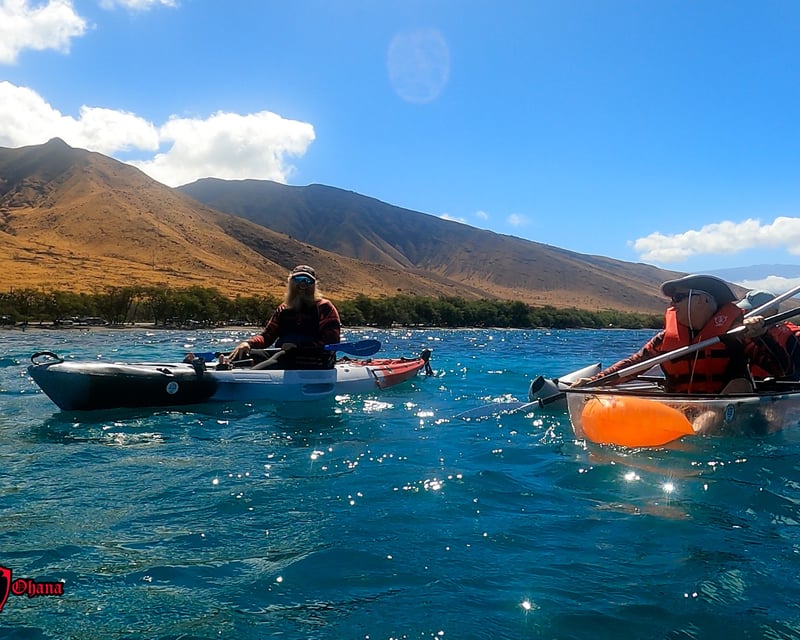 Explore Maui Reefs on a 3-Hour Clear Kayak Tour