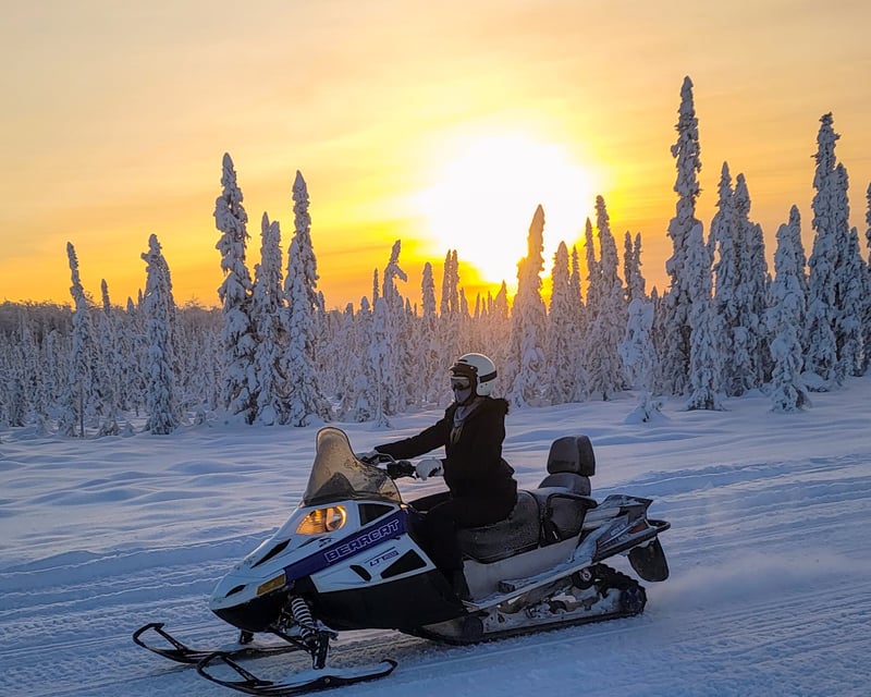 Snowmobile & Moonlight Dog Sled Tour in Willow, Alaska
