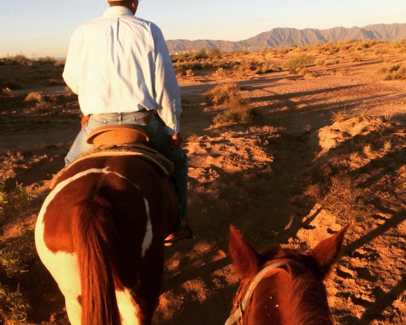 90-Minute Guided Horseback Ride at Wild Horse Pass