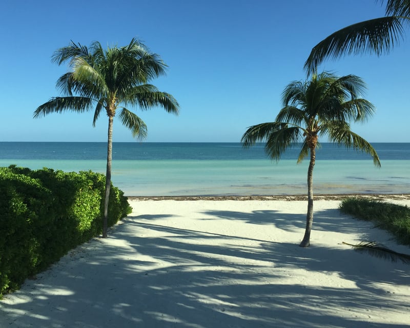 Private Eco Tour or Sunset Cruise in Big Pine Key