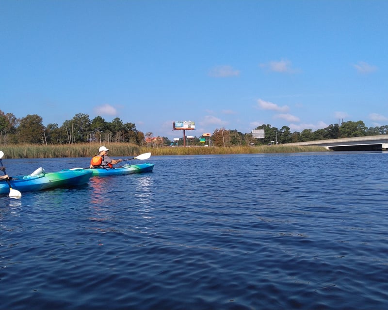 Eagle Island Historic Rice Canal Kayak Tour near Wilmington