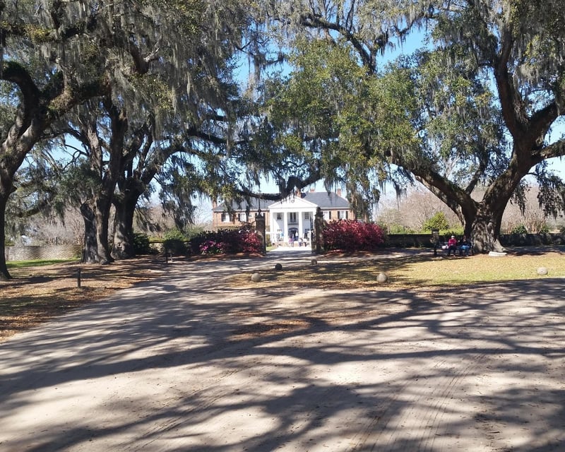 Private Boone Hall Plantation & Gullah History Tour