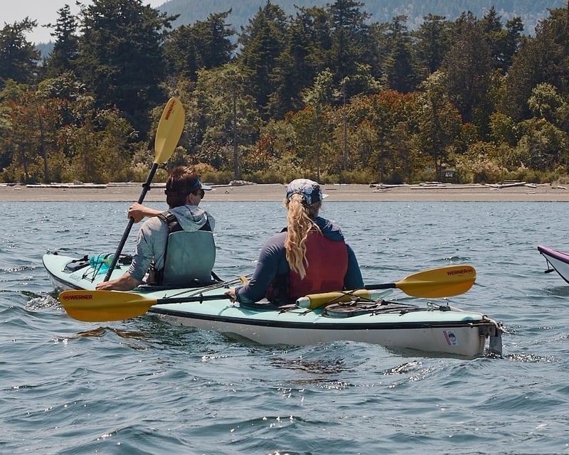 5-Hour Guided Sea Kayak Tour of Lummi Island