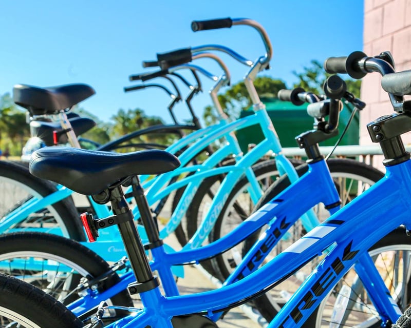4-Hour Bike Rental in Homestead