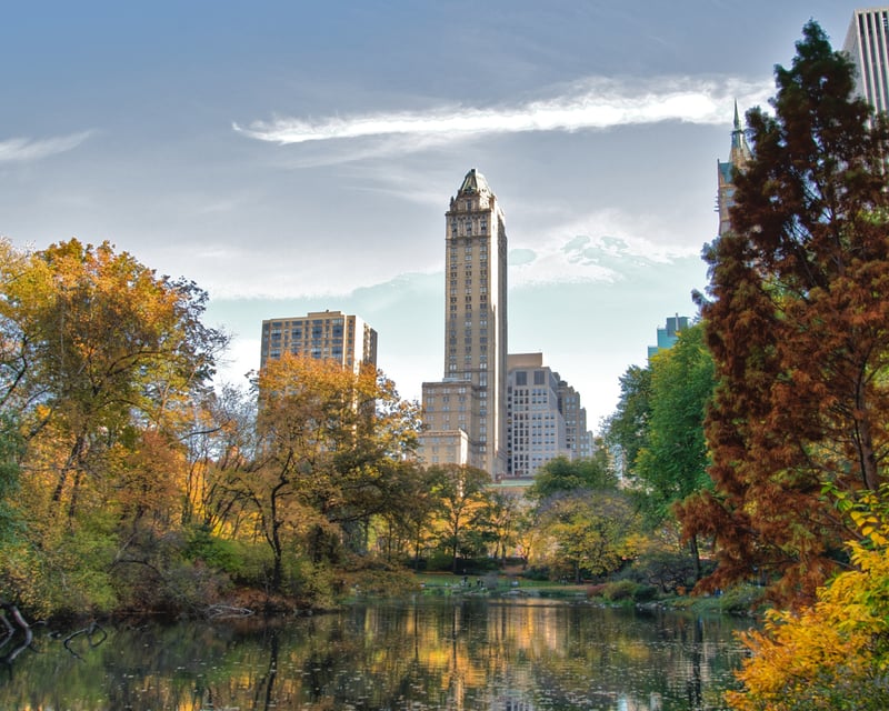 3-Hour Central Park Walking Tour in New York City