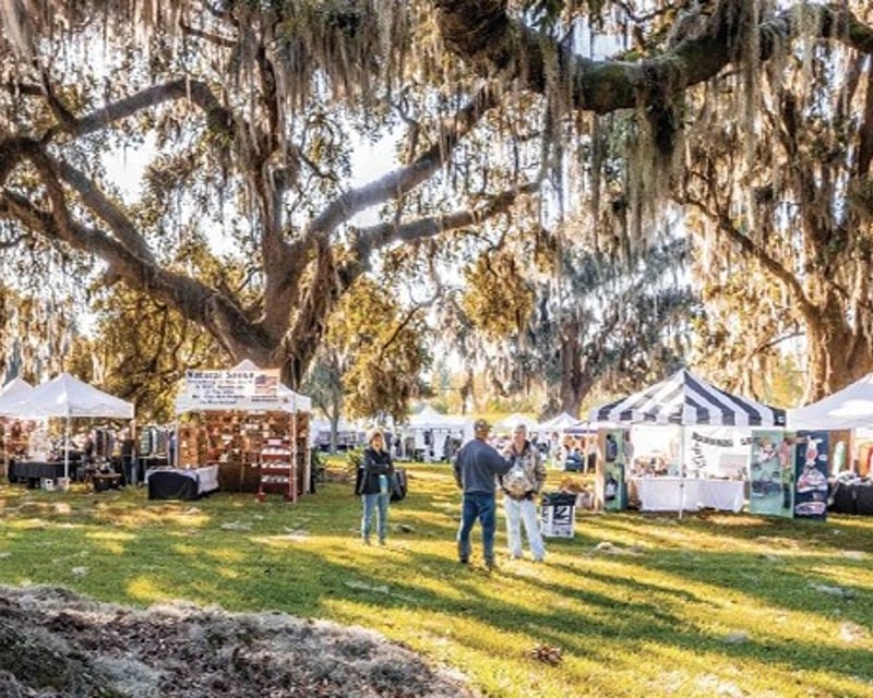 Fall Festival Admission in Destrehan