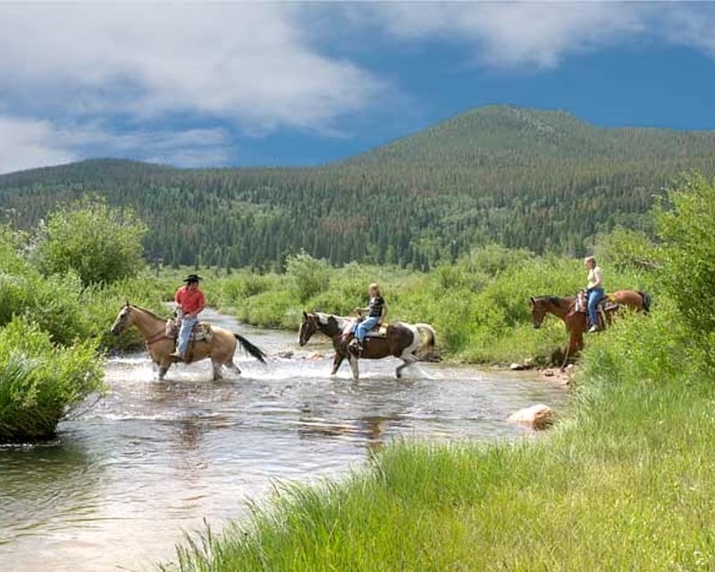 4-Hour Horseback Ride in Rocky Mountain National Park