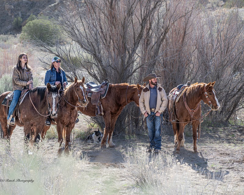 Wild Horse Viewing Horseback Tour in Palisade