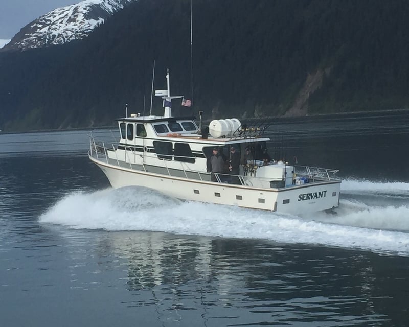 Sightseeing & Fishing Full-Day Charter in Seward