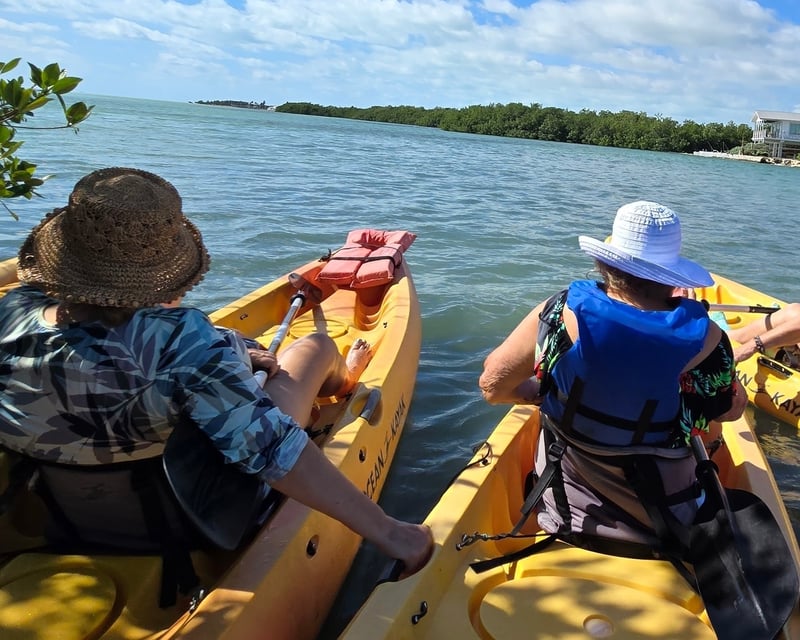Key West Guided Mangrove Kayak or SUP Tour