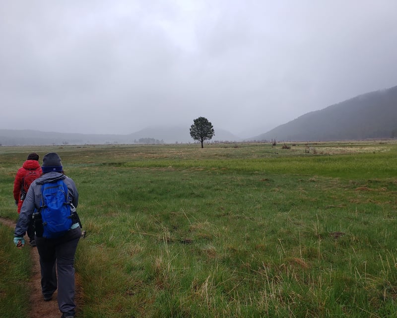 Guided 5-6-Hour Hike in Rocky Mountain National Park