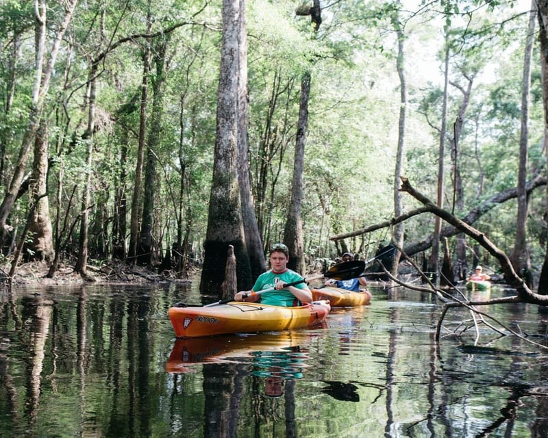 Shuttled Kayak Rental on the Waccamaw River