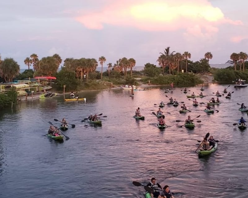 Dania Beach Guided Mangrove Kayak Tour