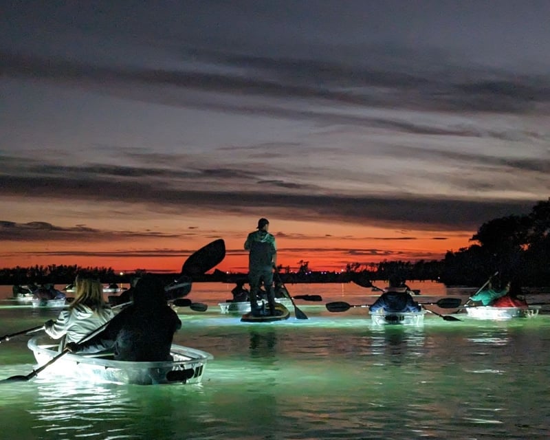 Clear Kayak LED Night Tour in Venice, Florida