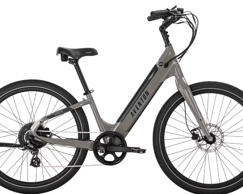 E-Bike Rental in PCB