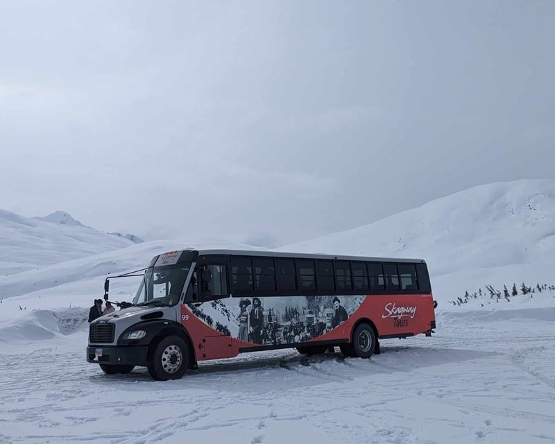 Skagway Winter Yukon Guided Tour