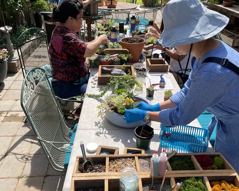 Clovis Private Succulent Planting Party
