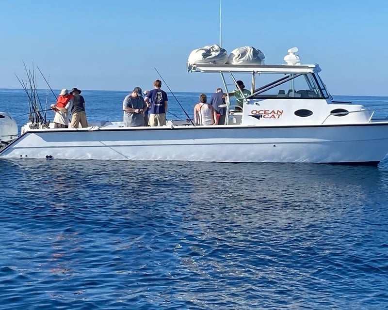 Pensacola Offshore Fishing Charter