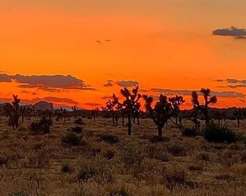 Private Sunset Hike in Joshua Tree