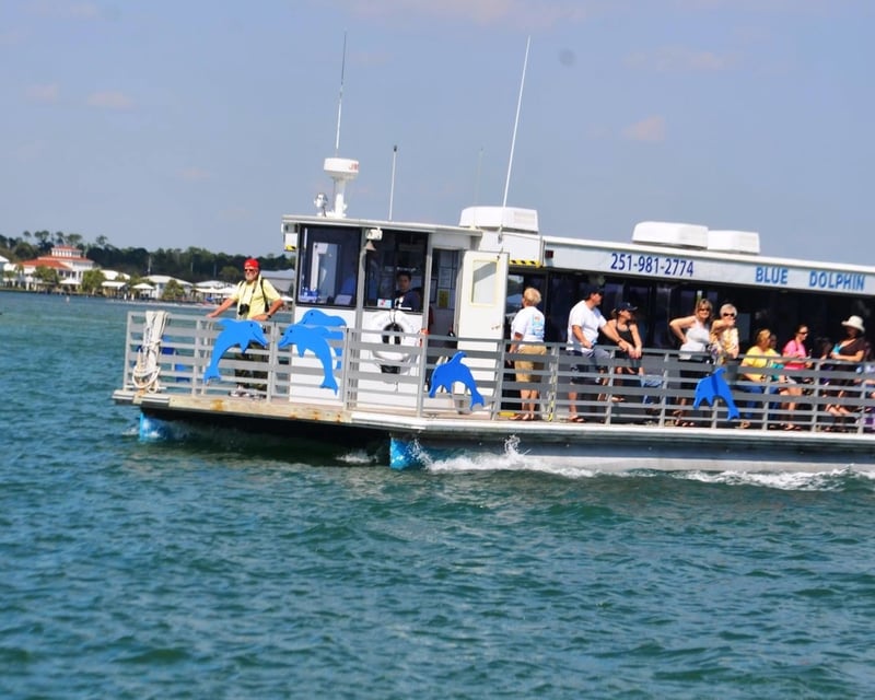 Dolphin Watching Cruise in Pensacola