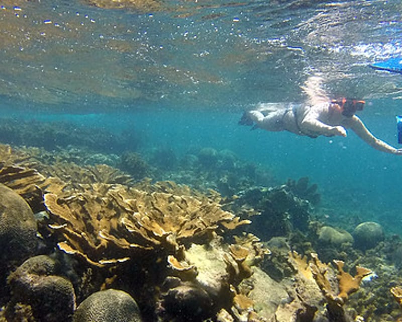 Guided Reef Snorkeling Tour to La Islita in Isla Verde