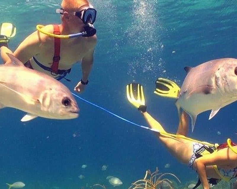 Snuba Diving at Coral World Ocean Park, St. Thomas