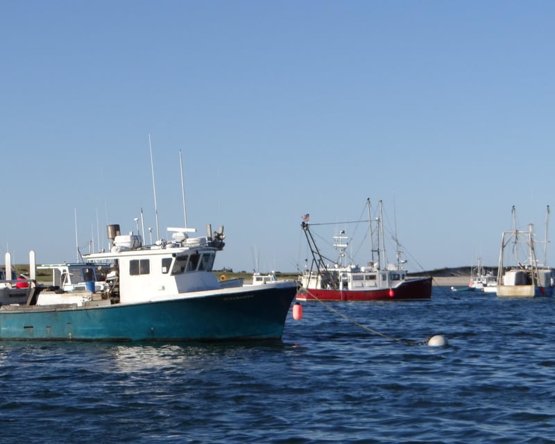 Private Harbor & Seal Tour in Chatham