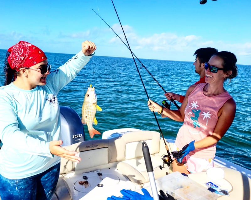 Private Half-Day Snorkel & Dolphin Boat Charter in Key West