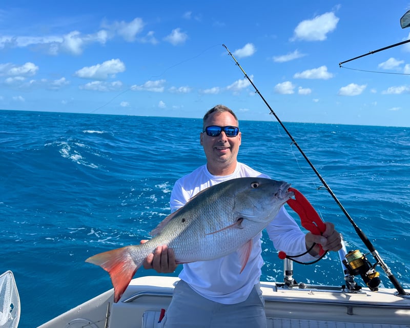 6-Hour Wreck Fishing Charter in Marathon