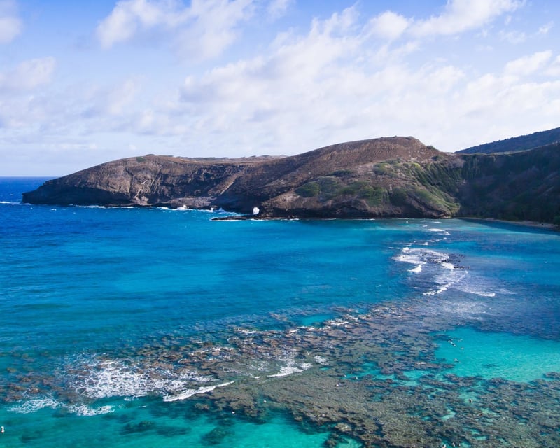 Oahu Circle Island Tour with Waimea Valley & Dole Plantation