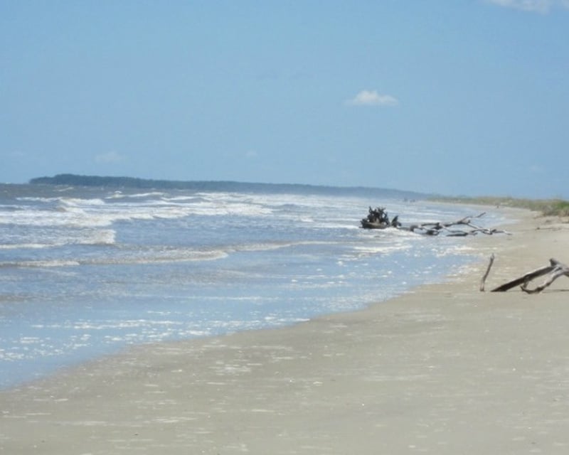 3-Hour Boat Charter to Little Tybee