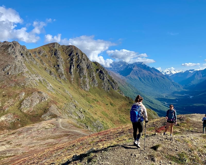 Naturalist-Guided Ridgeline Hike in Chugach State Park