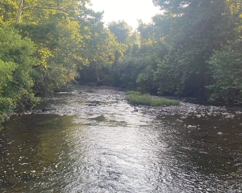 Jackson River Rail Trail Horseback Ride Near Hot Springs