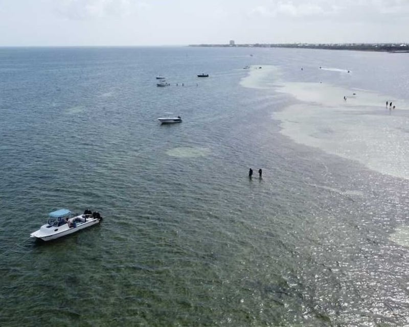 Private Eco Cruise From Stock Island