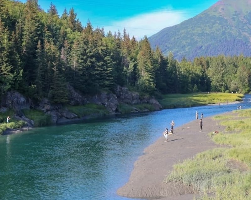 Fall Steelhead Drift & Wade Fishing on the Kenai Peninsula