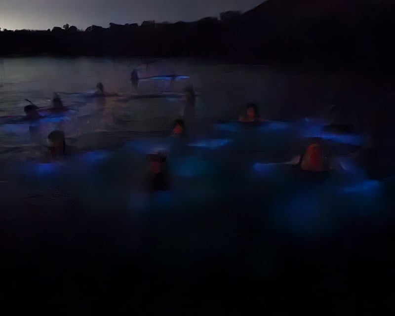 Private La Parguera Bioluminescent Bay Tour From San Juan