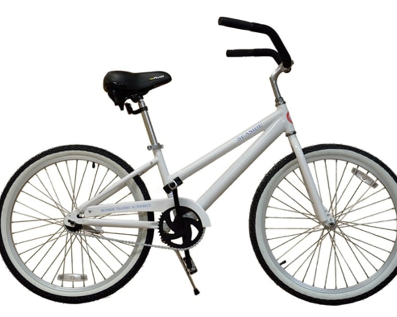 Ladies Bicycle Rental in Anna Maria