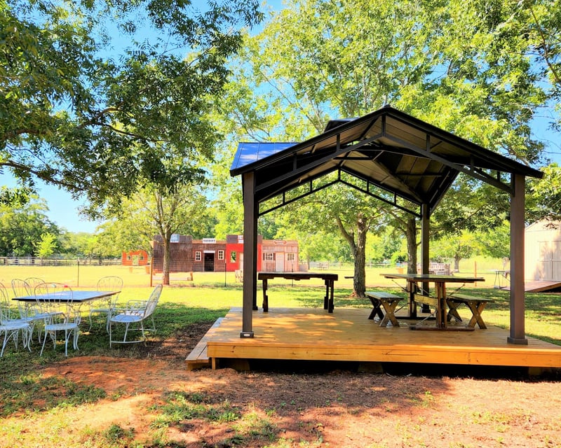 Private Farm Party with Guided Animal Tour in Brookshire