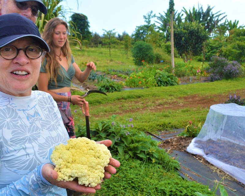 Farm-to-Table Cooking Class in Hilo