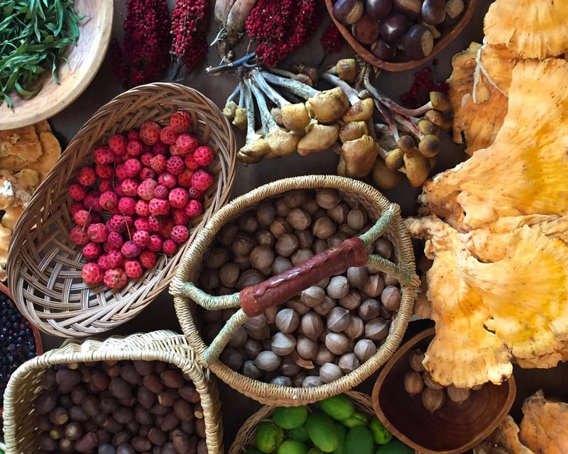 Asheville Foraging Hike with Expert Guides