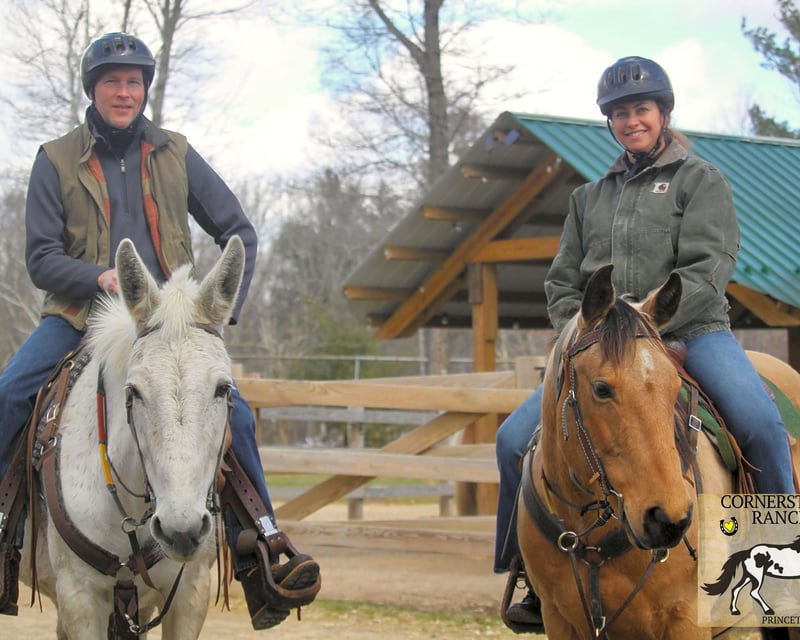 Private Forest Horseback Trail Ride in Princeton, MA