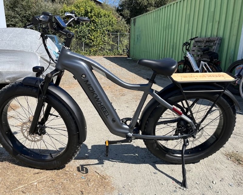 Fat Tire E-Bike Rental in Santa Cruz