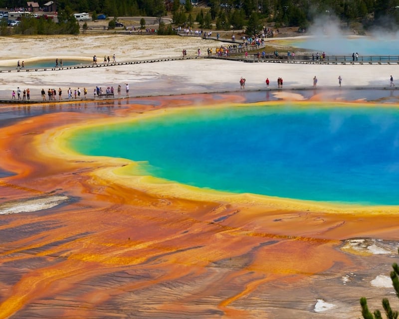 Explore Yellowstone on a Private Guided Day Tour