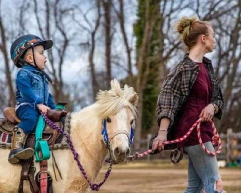 Farm Birthday Party with Pony Rides in Wall Township