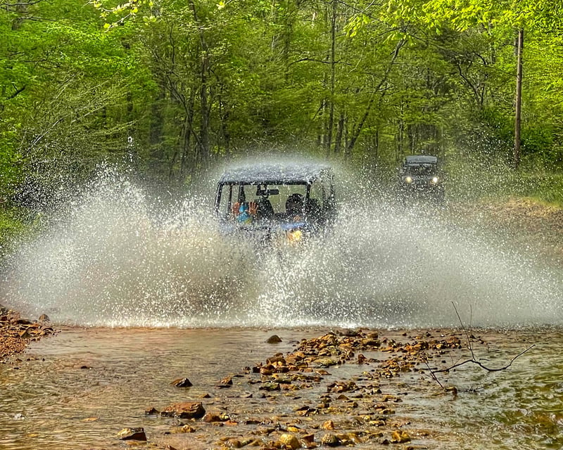 Guided Backcountry Side-by-Side Tour in Williamsport, TN