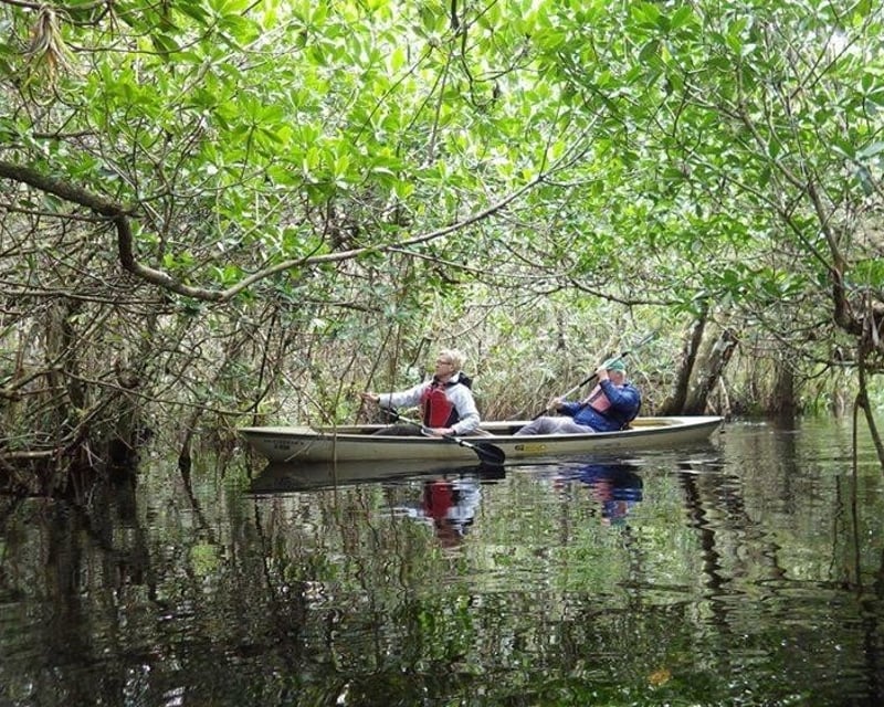 Mangrove Tunnel Kayak Tour in Big Cypress National Preserve