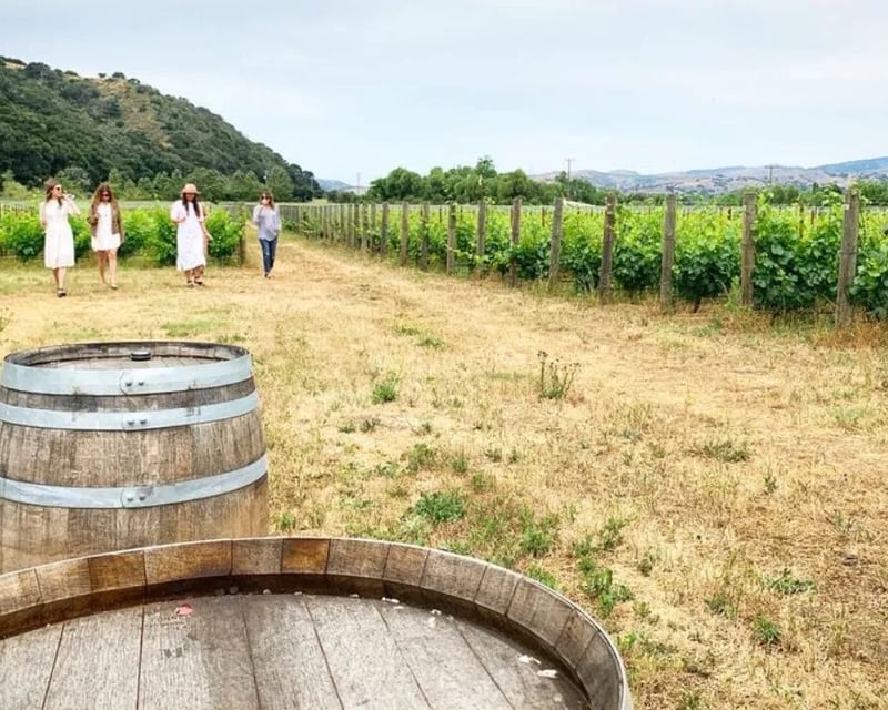 Santa Barbara Private Vineyard Wine Tour