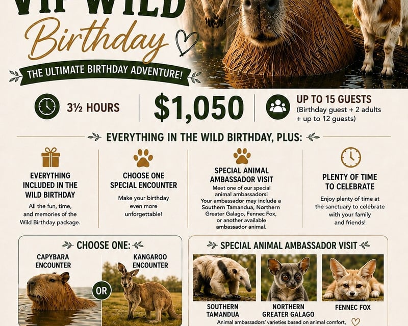 VIP Capybara or Kangaroo Birthday Party in Alva, FL