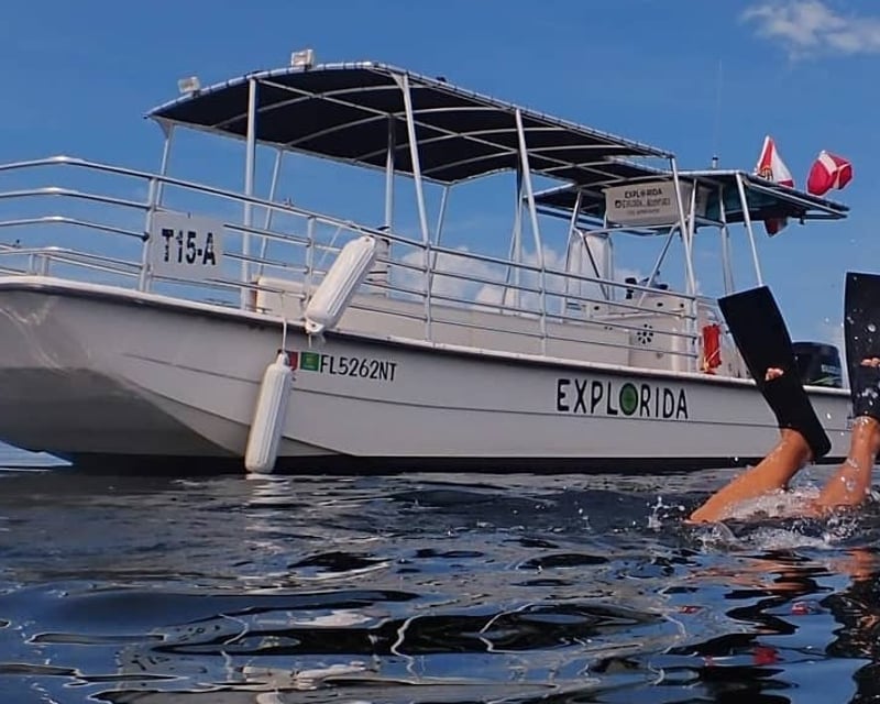 Crystal River Scalloping & Springs Charter
